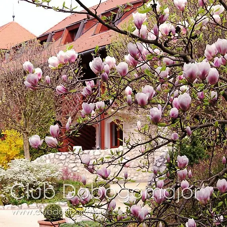 Club Dobogómajor Superior Ośrodek wypoczynkowy 3*