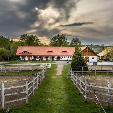 Club Dobogomajor Superior